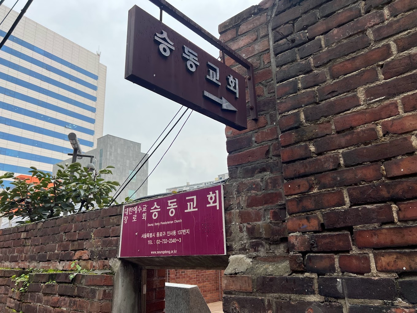 식당 이미지6